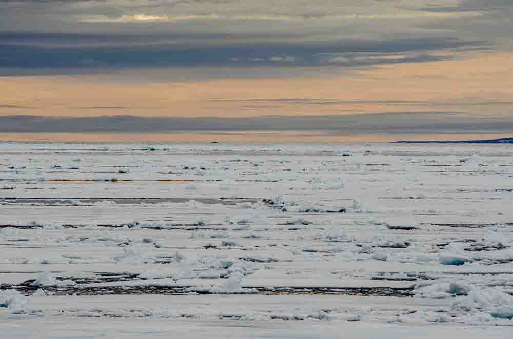 143 - Noruega - islas Svalbard - banquisa artica